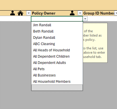 Excel Template and Roadmap Entry Screenshot