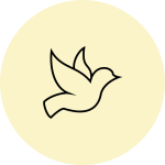 Icon depicting Legacy